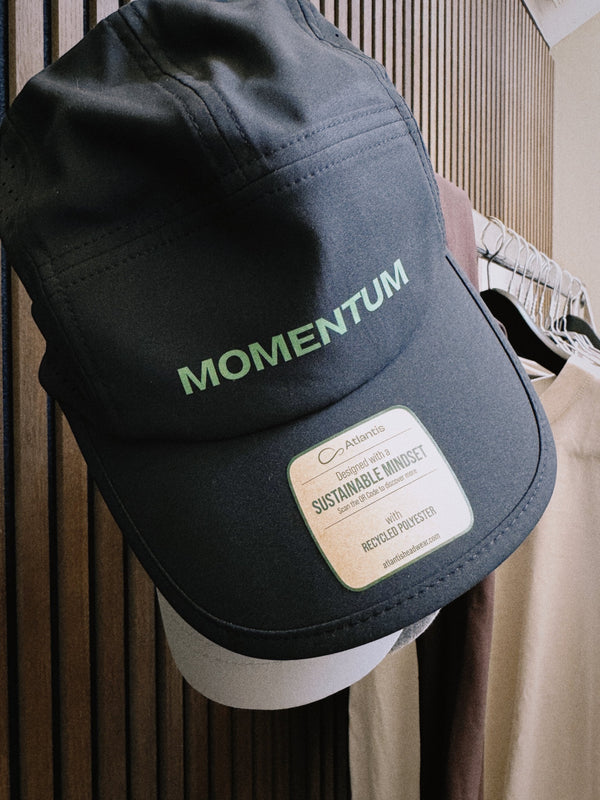 Momentum